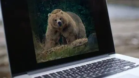 Fear Island: Fortress of the Bears (2018)