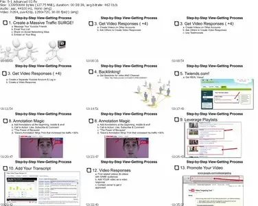 Video Traffic Academy by James Wedmore and Lewis Howes (2011)