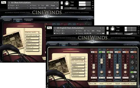 Cinesamplеs CineWinds KONTAKT