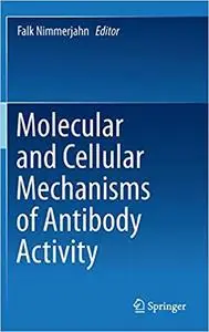 Molecular and Cellular Mechanisms of Antibody Activity