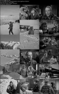 Arctic Flight (1952)
