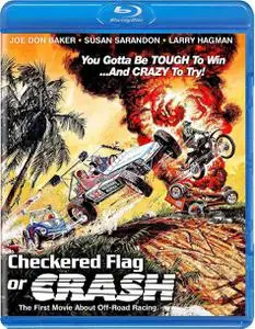 Checkered Flag or Crash (1977)