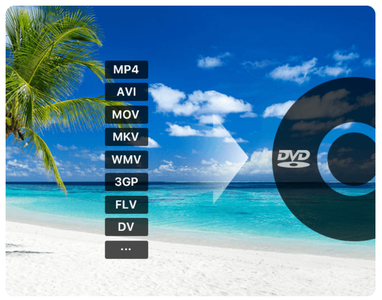 Cisdem DVD Burner 2.6.0 (x64) Multilingual