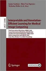 Interpretable and Annotation-Efficient Learning for Medical Image Computing: Third International Workshop, iMIMIC 2020,