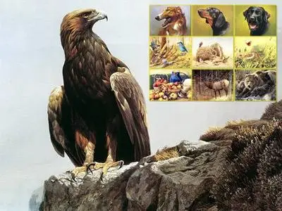 Animals and Nature Artworks