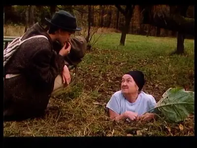 Orbis Pictus (1998)