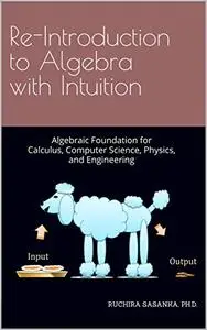 Re-Introduction to Algebra with Intuition [Repost]