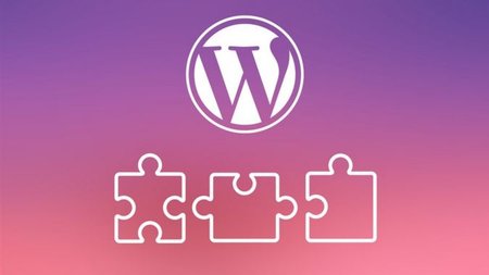 Wordpress Plugins that will transform your Website