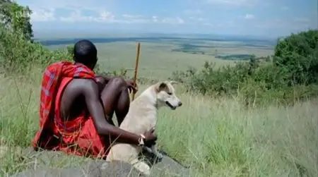 BBC - Woof! a Horizon Guide to Dogs (2012)