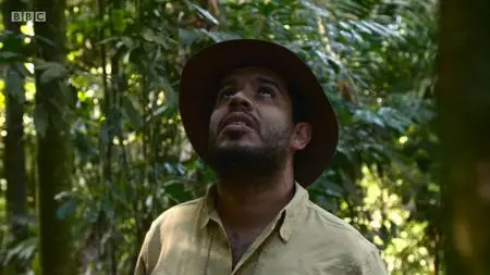BBC Our World - Colombia: Saving Eden (2020)