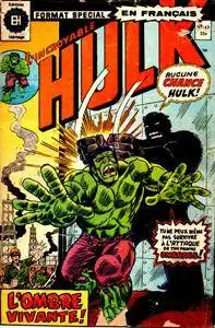 Hulk - Editions Heritage  043