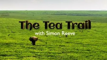 BBC This World - The Tea Trail (2013)