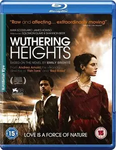 Wuthering Heights (2011)
