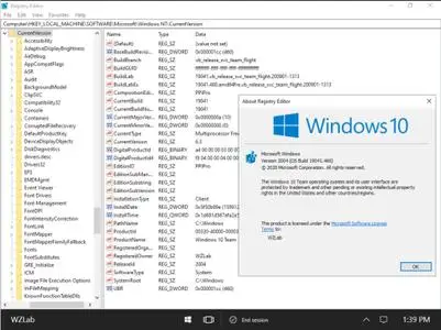Windows 10 Team build 19041.460 (Insider Preview)