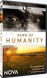 PBS NOVA - Dawn of Humanity (2015)