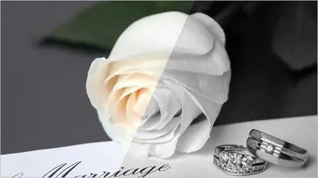 Lightroom Classic CC: Presets Bundle