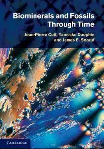 Biominerals and Fossils Through Time (repost)