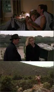 Voyager / Homo Faber (1991)
