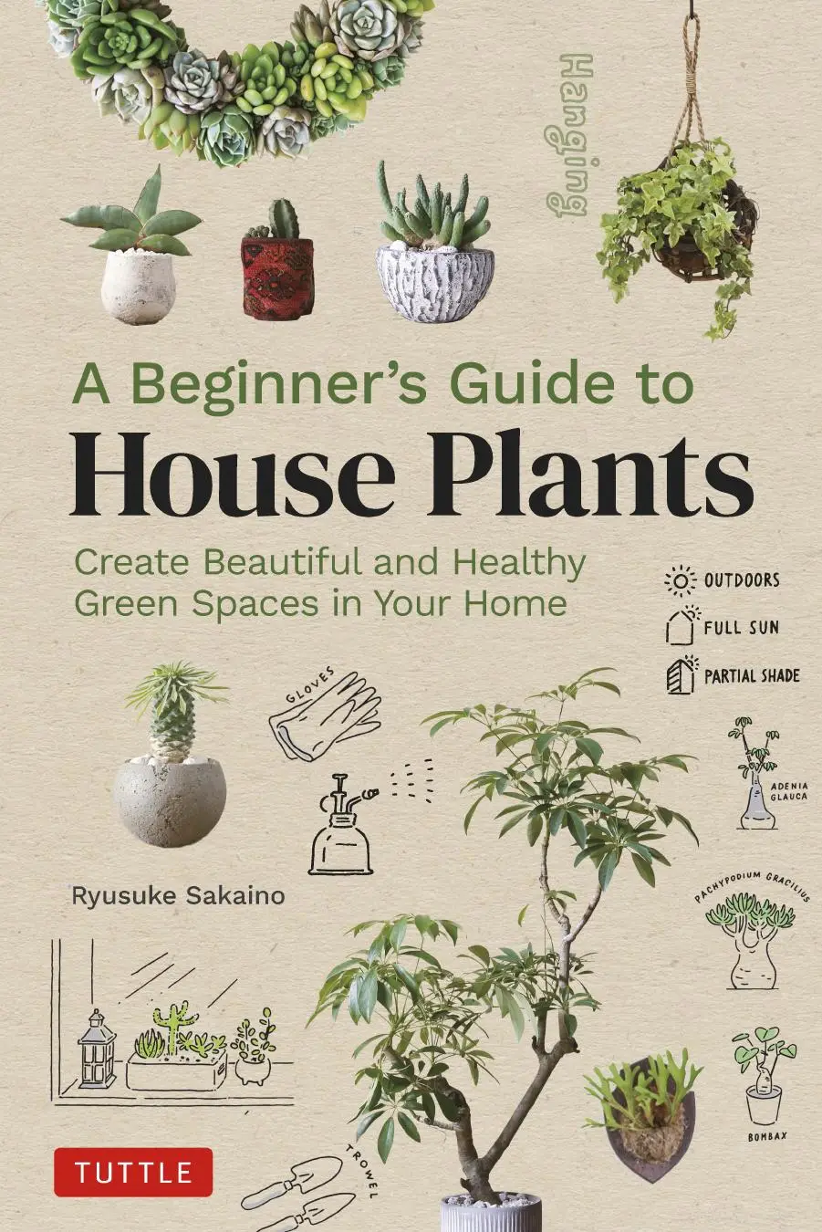 A Beginner's Guide to House Plants Creating Beautiful and Healthy