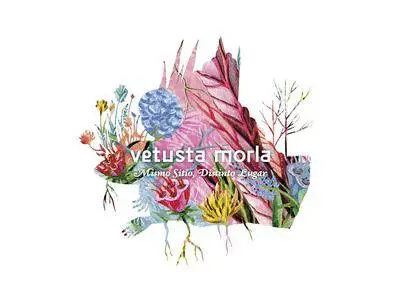 Vetusta Morla - Mismo Sitio, Distinto Lugar (2017)