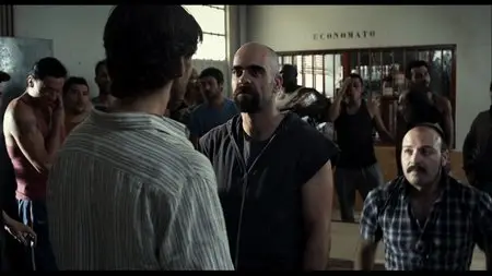Cell 211 (2009)