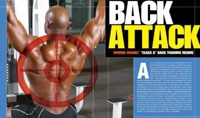 Double XL - Back Attack
