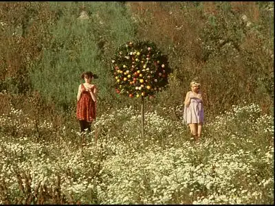 Daisies (1966) (Second Run) [DVD9] [PAL]