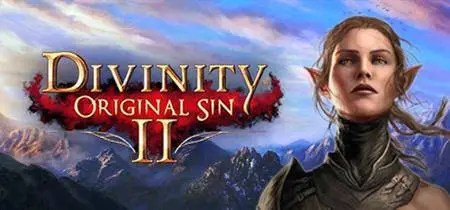 Divinity: Original Sin 2 (2017)