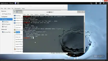 CBT Nuggets - EC Council CEH Certified Ethical Hacker v8.0 (312-50) (2014)