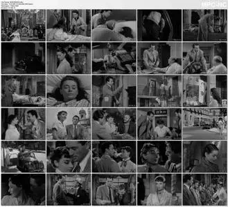 Roman Holiday (1953) [REMASTERED]