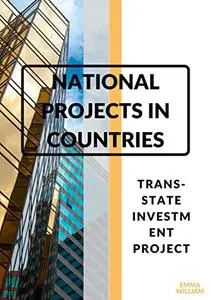 National projects in countries: trans-state investment project