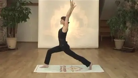 Sadie Nardini - 14 Day Yoga Detox & Empowerment Course (2012)