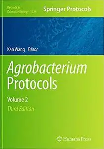 Agrobacterium Protocols: Volume 2