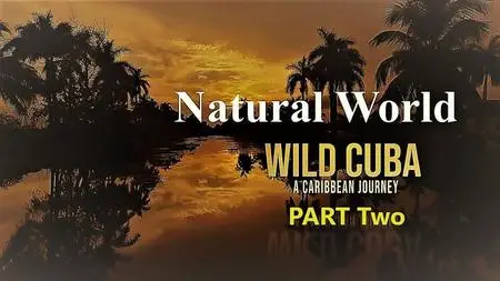 BBC - Natural World: Wild Cuba a Caribbean Journey Part 2 (2020)