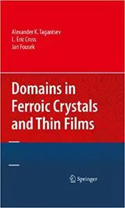 Domains in Ferroic Crystals and Thin Films