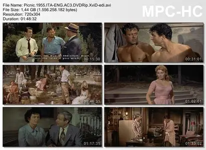 Picnic (1955)