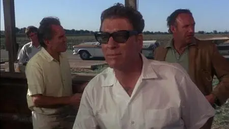 The Gypsy Moths (1969)
