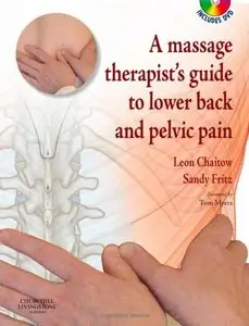 A Massage Therapist's Guide to Lower Back & Pelvic Pain