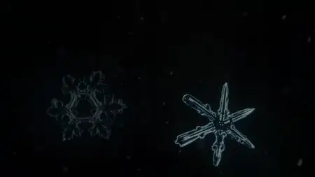 A World of Calm S01E04