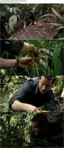 Discovery Channel - Bear Grylls: Escape from Hell Series 1 (2014)