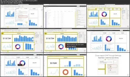 Enrich Reports for Usability with Power BI