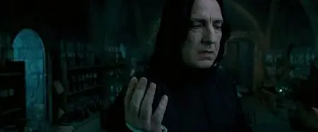 Harry Potter and the Order of the Phoenix (2007)