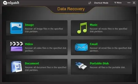 Amigabit Data Recovery Professional / Enterprise 2.0.6.0