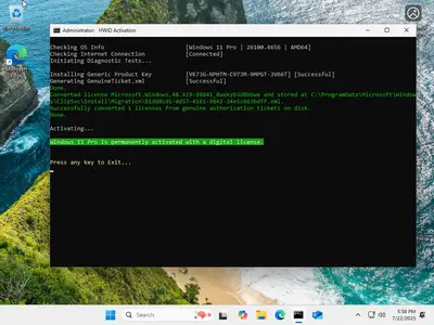 Windows 11 Pro/Enterprise 24H2 Build 26100.4656 (No TPM Required) Preactivated Multilingual July 2025