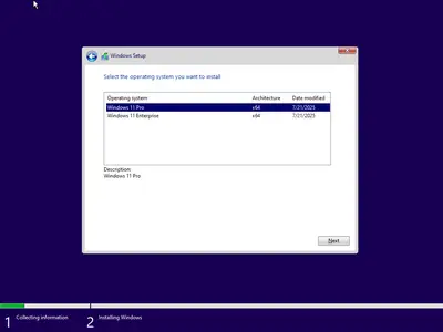 Windows 11 Pro/Enterprise 24H2 Build 26100.4656 (No TPM Required) Preactivated Multilingual July 2025