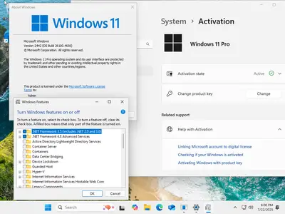 Windows 11 Pro/Enterprise 24H2 Build 26100.4656 (No TPM Required) Preactivated Multilingual July 2025