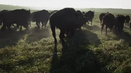 Kevin Costner's The West S01E04
