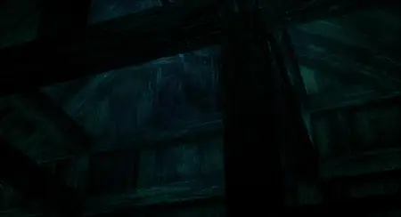 Arashi no Yoru ni (2005