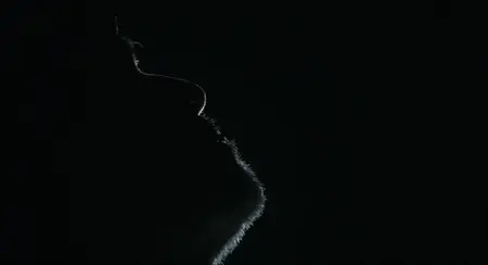 Cielo (2017)