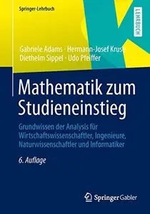 Mathematik zum Studieneinstieg: Grundwissen der Analysis für Wirtschaftswissenschaftler, Ingenieure, Naturwissenschaftler und I